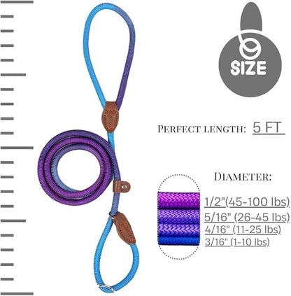 Slip Leads for Dogs (5 Foot 4/16")