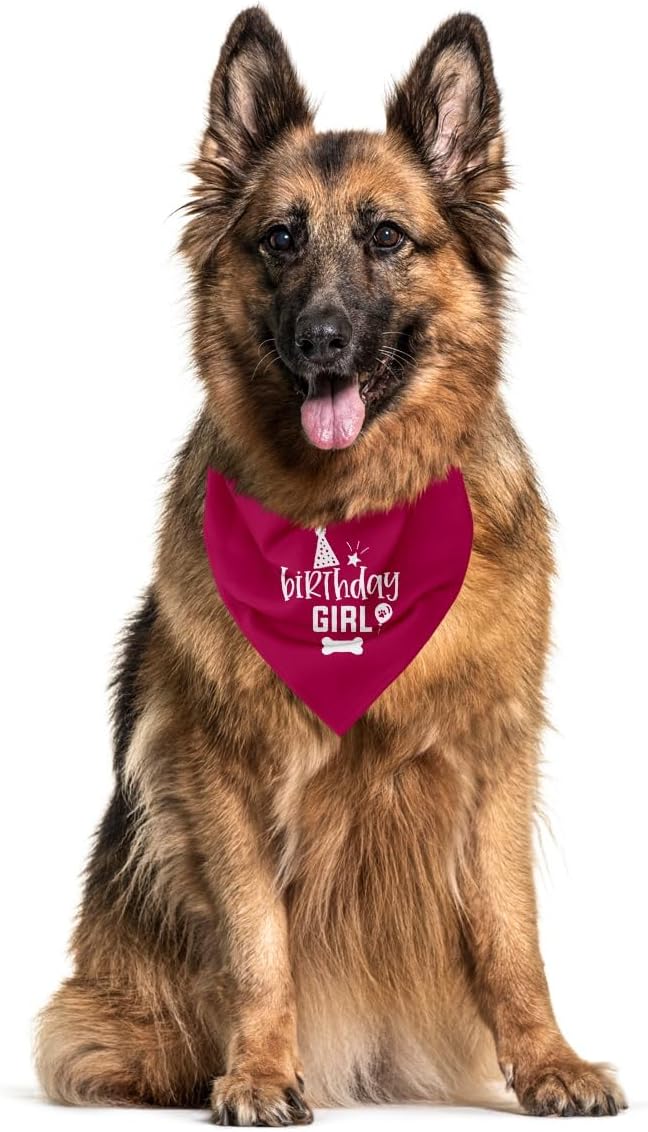 Dog Birthday Bandana (A24)