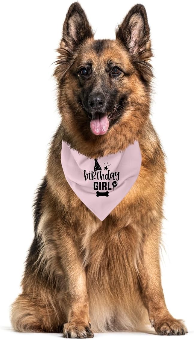 Dog Birthday Bandana (A23)