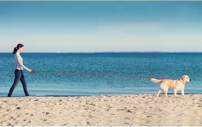 Long Leash Waterproof Training Longline Outdoor Dog Leash Great for Training