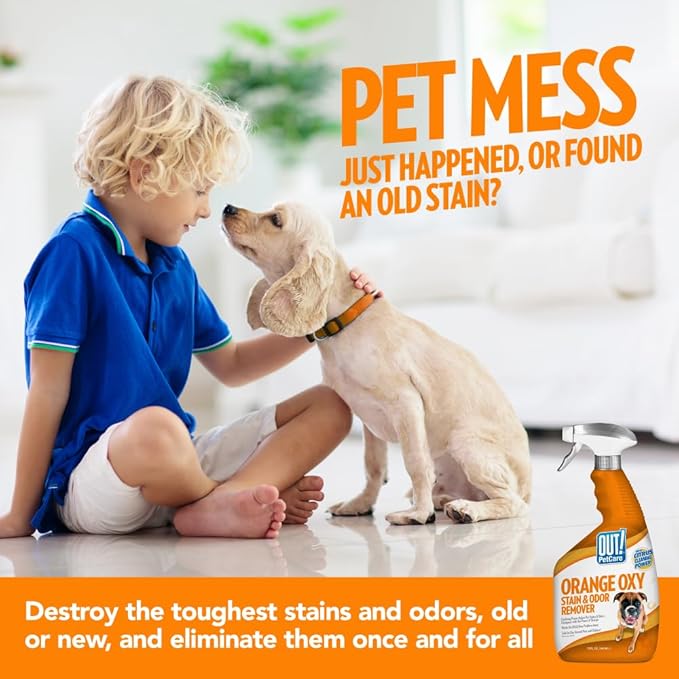 OUT! PetCare Orange Oxy Stain & Odor Remover | Oxy Clean Pet Stain and Odor Eliminator | 32 oz (Pack of 2)