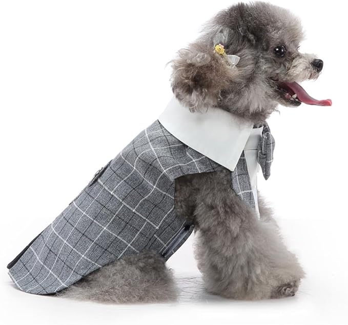 Puppy Tuxedo with Detachable Bowtie Prom Wedding Formal Wear Prince Costume for Small Dog (X-Small, Grey Plaid)