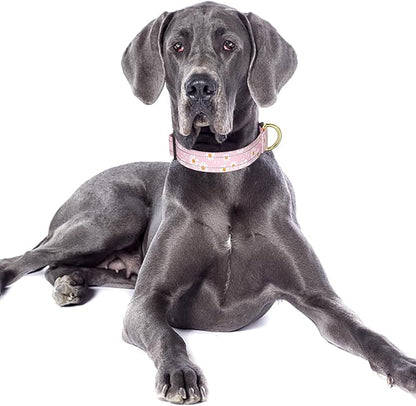 Reflective Dog Collar