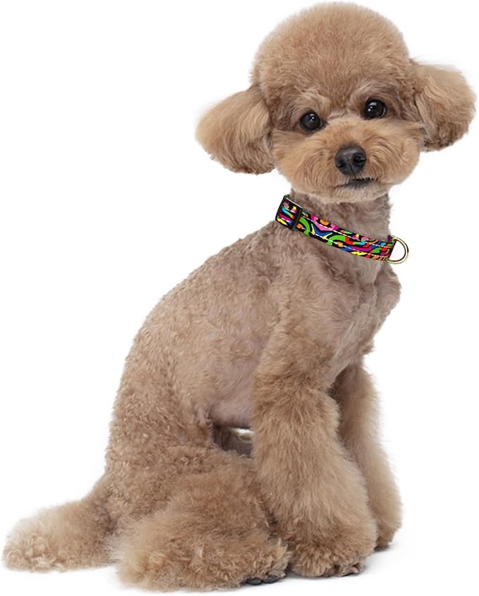 Reflective Dog Collar