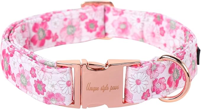 Unique Style Paws Summer Dog Collar