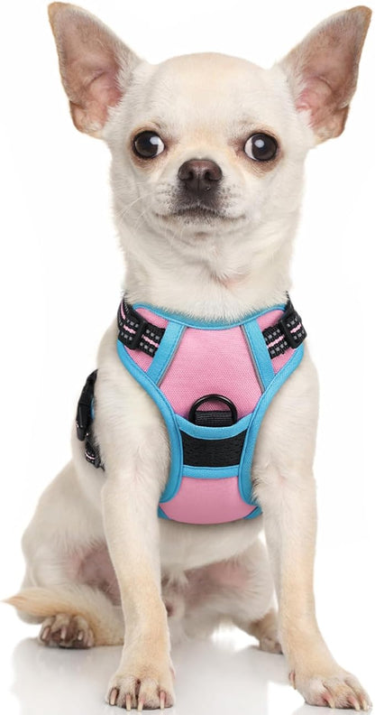 rabbitgoo Dog Harness, No-Pull Pet Harness with 2 Leash Clips, Adjustable Soft Padded Dog Vest, Reflective No-Choke Pet Oxford Vest with Easy Control Handle for Large Dogs, Pink & Blue, X-Small