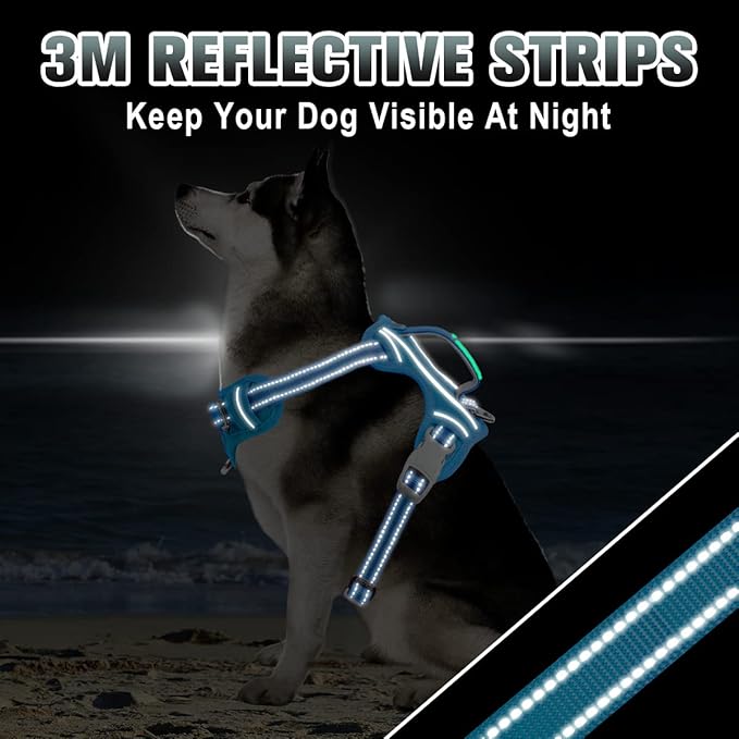 BARKBAY No Pull Dog Harness Large Step in Reflective Dog Harness with Front Clip and Easy Control Handle for Walking Training Running with ID tag Pocket(Blue