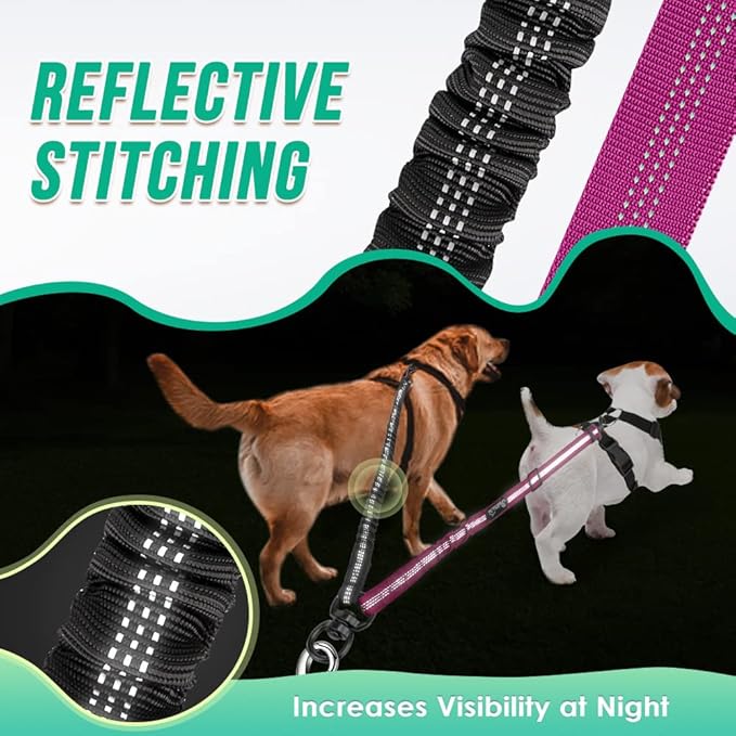 Two Dog Lead 2 in 1 Upgraded