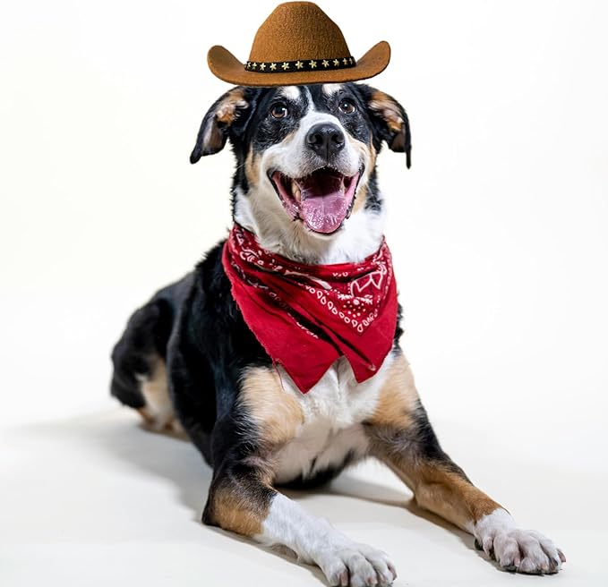 Dog Cowboy Hat Cat Cowboy Hat Mini Cowboy Hat for Dogs Cat Pet Cowboy Costume with Bandana Scarf Holiday Halloween Pet Party Decoration (brown, Large)