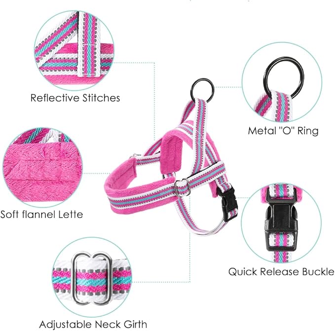 Lukovee Dog Harness and Leash Set, Soft Padded Small Dog Harness, Neck & Chest Adjustable Reflective Vest Puppy Harness with 4ft Lightweight Anti-Twist Dog Leash for Small Dogs (XX-Small, Fuschia)