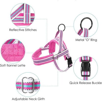 Lukovee Dog Harness and Leash Set, Soft Padded Small Dog Harness, Neck & Chest Adjustable Reflective Vest Puppy Harness with 4ft Lightweight Anti-Twist Dog Leash for Small Dogs (XX-Small, Fuschia)