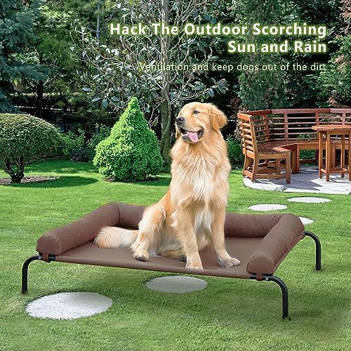 Cooling Elevated Dog Bed for Large Dogs