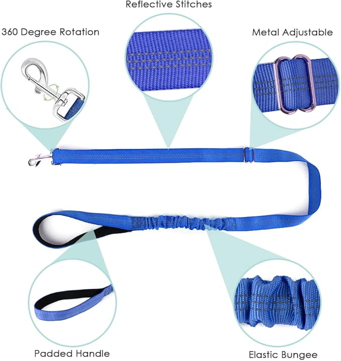 Lukovee Dog Harness and Leash Set, Soft Padded Small Dog Harness, Neck & Chest Adjustable Reflective Vest Puppy Harness with 4ft Lightweight Anti-Twist Dog Leash for Small Dogs (Small, Blue)