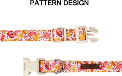 Lionet Paws Dogs Collar Fall 13.5-22 inches