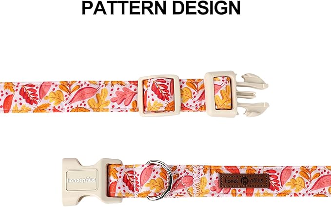 Lionet Paws Dogs Collar Fall 8-12 inches