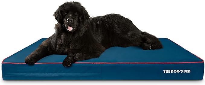 The Dog’s Bed Orthopedic Memory Foam Dog Bed 64x44, Pain