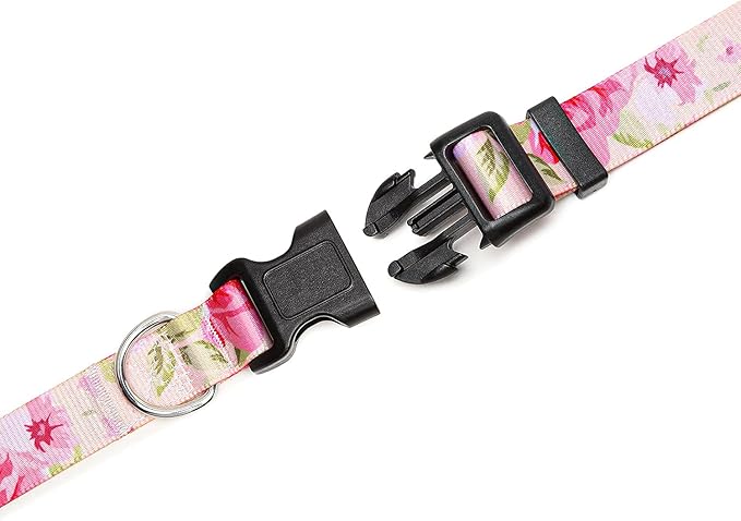 Adjustable Dog Collar with Patterns