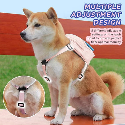 Dog Backpack for Small Dogs to Wear,Cute Pet Puppy Harness Backpacks with Leash Adjustable Dog Self Carrier Bag for Travel Hiking Daily Walking (M, Pink)