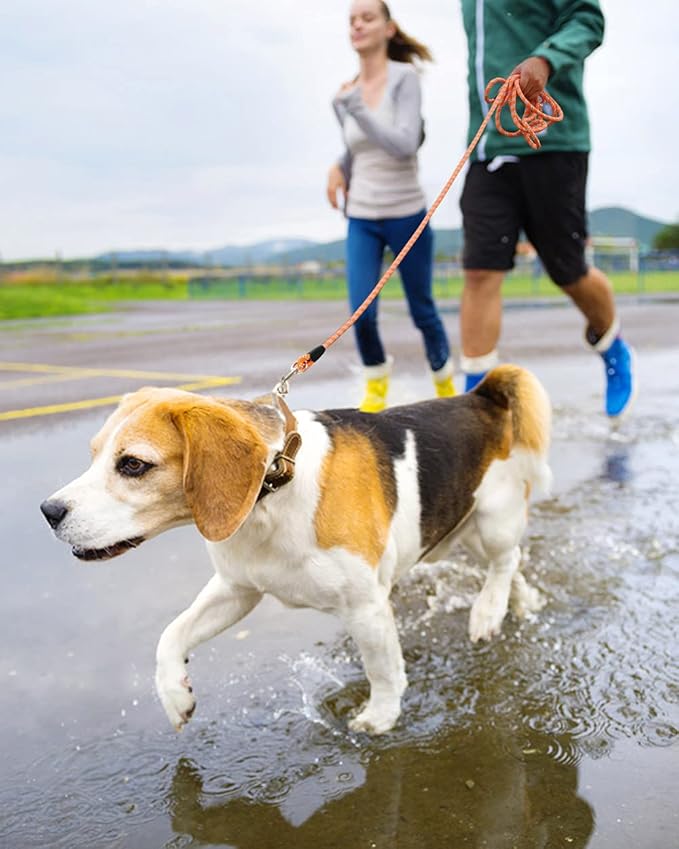 100FT Extra Long Dog Leash for Dog Training