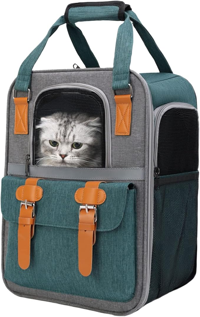 Pet Cat Carrier Backpack, Panoramic Window Front Pack for Small Medium Cat Puppy Dog Carrier Backpack Bag Space Capsule, Pet Carrier for Travel Hiking Walking Camping (Green)