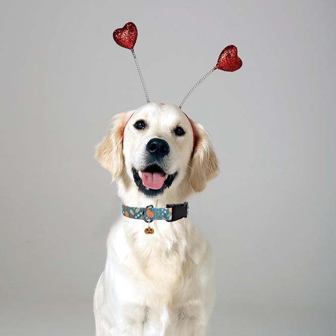 Halloween Pumpkins Dog Collar with Cute Pendant