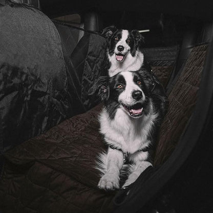 VION Tesla Model Y/3/S Pet Liner (1x Pet 2X Door