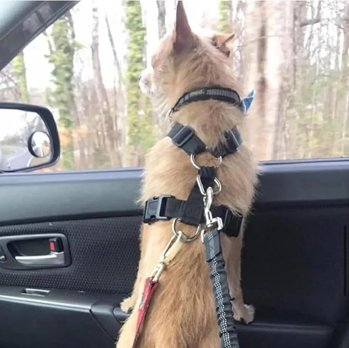 Reflective 2 in 1 Dog Cat Seat Belt Stretchable, Expandable Harness Leash and Headrest Collar Accessary for Vehicle, Pet Safety, Nylon, Heavy Duty and Elastic (Red)