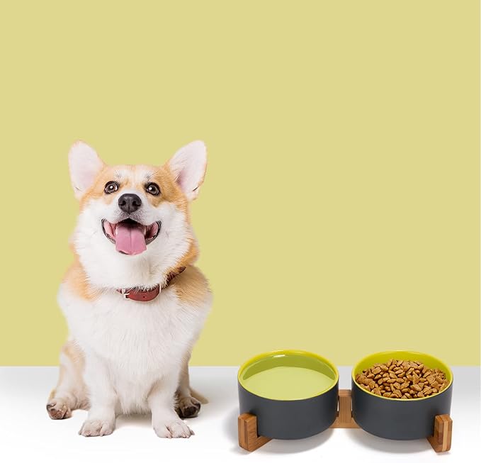 SPUNKYJUNKY Ceramic Dog and Cat Bowl Set with Wooden Stand, Modern Cute Weighted Food Water Set for Small Size Dogs (13.5OZ) & Medium Sized Dogs (28.7OZ) & Cats (3.6 Cups, 2 × Yellow-Grey)