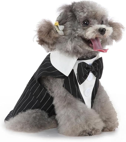 Puppy Tuxedo with Detachable Bowtie Prom Wedding Formal Wear Prince Costume for Small Dog (X-Small, Black Stripe)