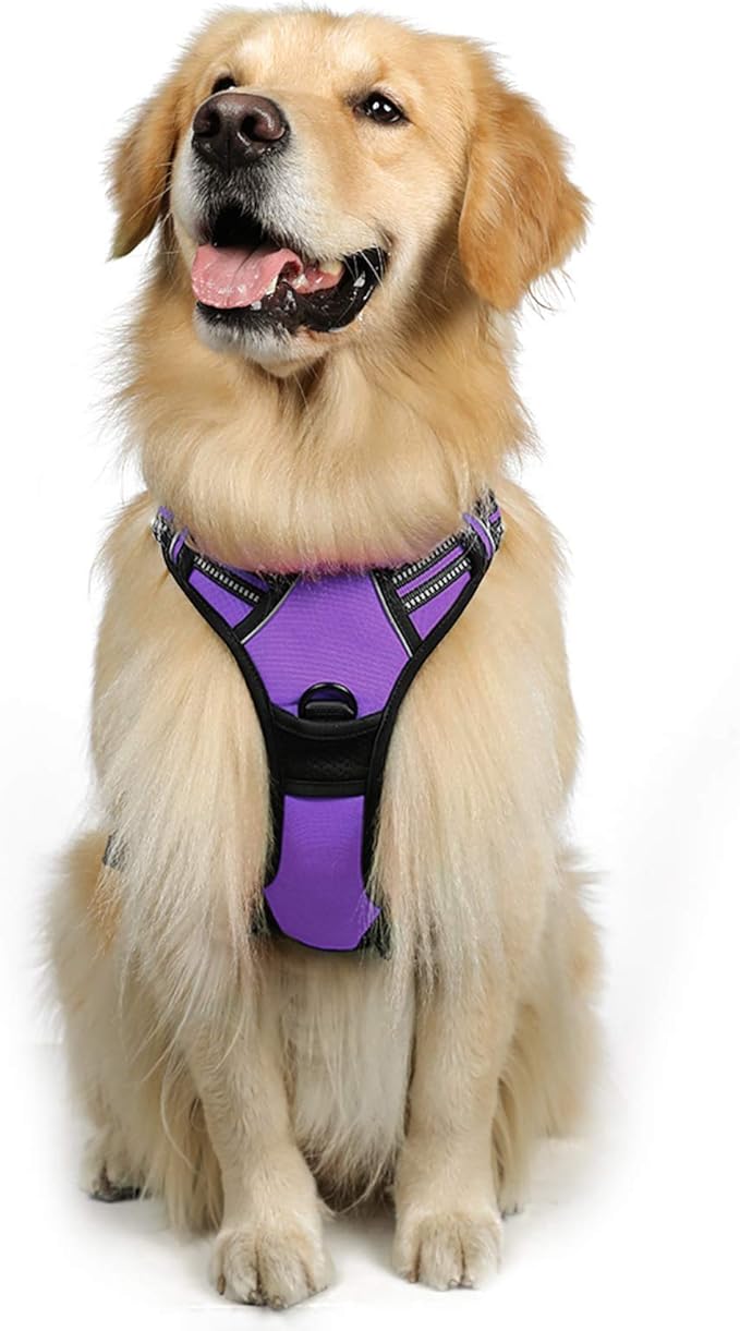 rabbitgoo Dog Harness, No-Pull Pet Harness with 2 Leash Clips, Adjustable Soft Padded Dog Vest, Reflective No-Choke Pet Oxford Vest with Easy Control Handle for Large Dogs, Purple, L