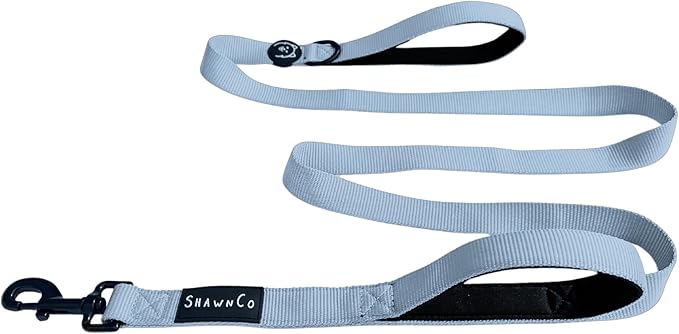 ShawnCo Dream Walk Dog Leash- Premium, Nylon Pet Leash with Soft Neoprene Handle for Small, Medium and Large Dogs (Moonglow, M/L 6FT w/ 2 Handles)