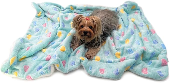 Klippo Double Layered Ultra Plush Dog/Puppy Blanket/Mat/Padding/Cover/Throw/Spread (Colorful Hearts - Blue, Small)