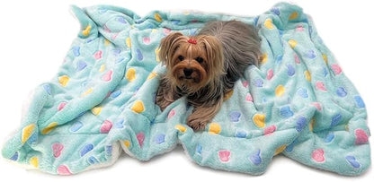 Klippo Double Layered Ultra Plush Dog/Puppy Blanket/Mat/Padding/Cover/Throw/Spread (Colorful Hearts - Blue, Small)