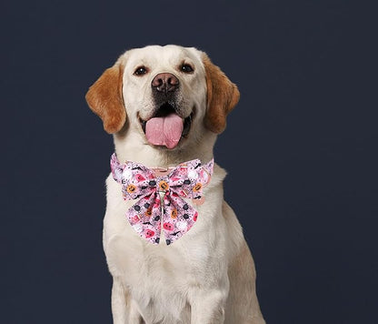 DOGWONG Fall Dog Collar with Bowtie