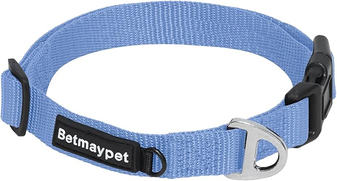 Dog Collar