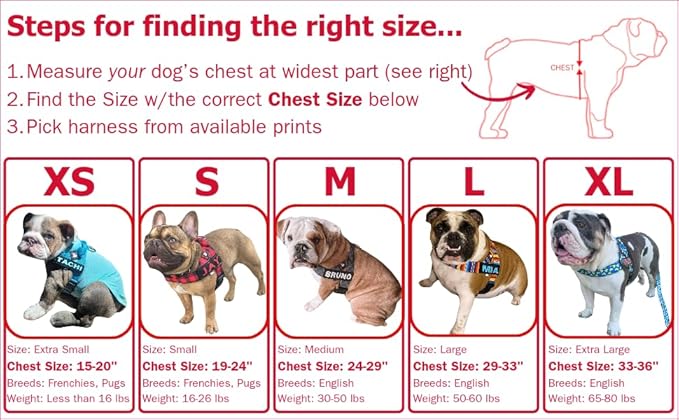 BULLHUG Harness – Made for Larger Chested Dogs Like English Bulldogs
