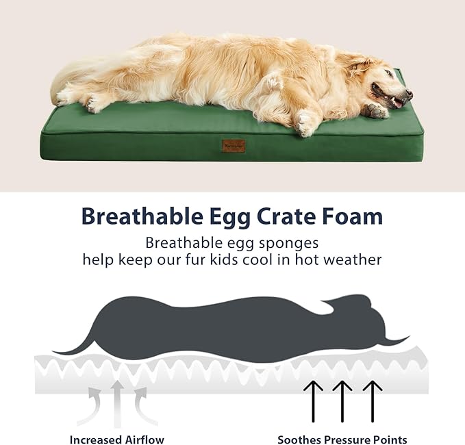 BFPETHOME Outdoor Dog Beds for Large Dogs (30 x 20in, Green)