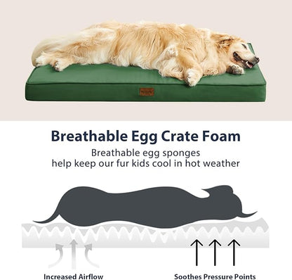 BFPETHOME Outdoor Dog Beds for Large Dogs (30 x 20in, Green)