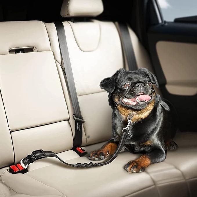 Dog Seat Belt with Elastic Bungee Buffer