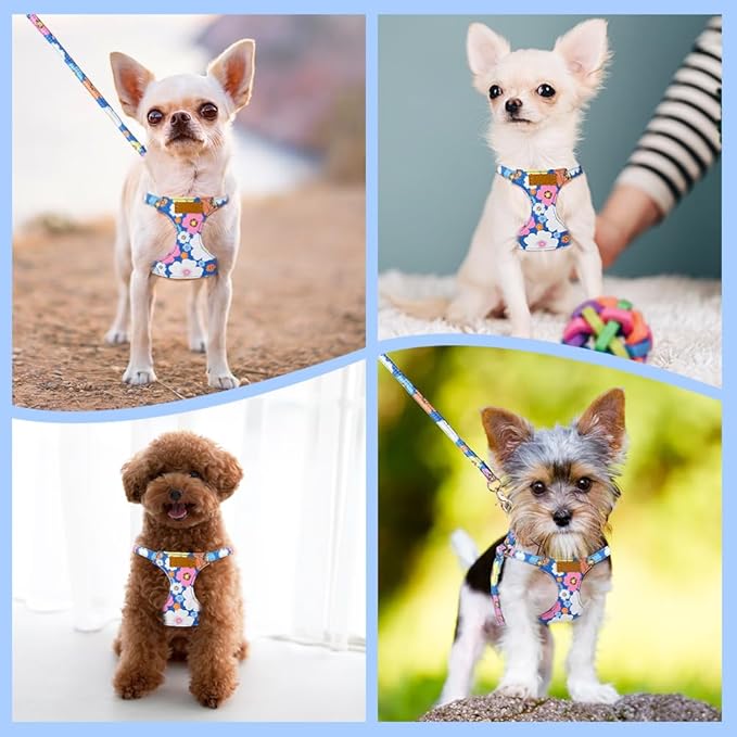 SlowTon No Pull Dog Harness with Leash - Soft Lightweight Floral Pattern Puppy Harness, Adjustable Pet Harness for Small Medium Dogs (Blue Flower XXS)