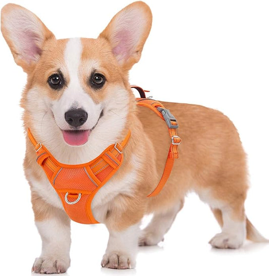 BARKBAY No Pull Dog Harness Large Step in Reflective Dog Harness with Front Clip and Easy Control Handle for Walking Training Running with ID tag Pocket(Orange