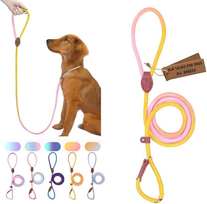 Slip Leads for Dogs (5 Foot 4/16")