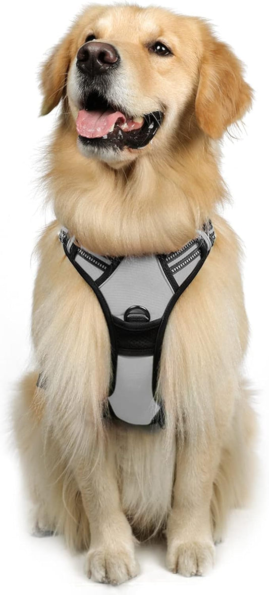 rabbitgoo Dog Harness 2 Leash
