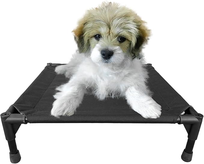 Love&go Elevated Dog Bed with Metal Frame (Small-18.5x18.5x5.5 inch,