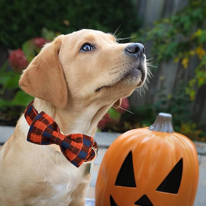 Christmas Day Dog Bandana Red Green Plaid Cotton