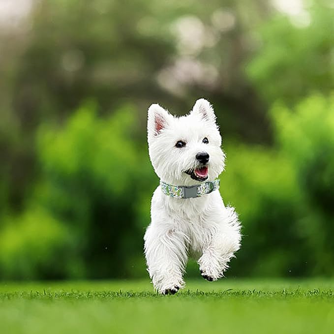 Summer Dog Collar, Big Dill Print Pet Collar Durable Metal Collar Dog Cute Green Boy Dog Collars Adjustable Dog Collar for Small Medium Large Dogs