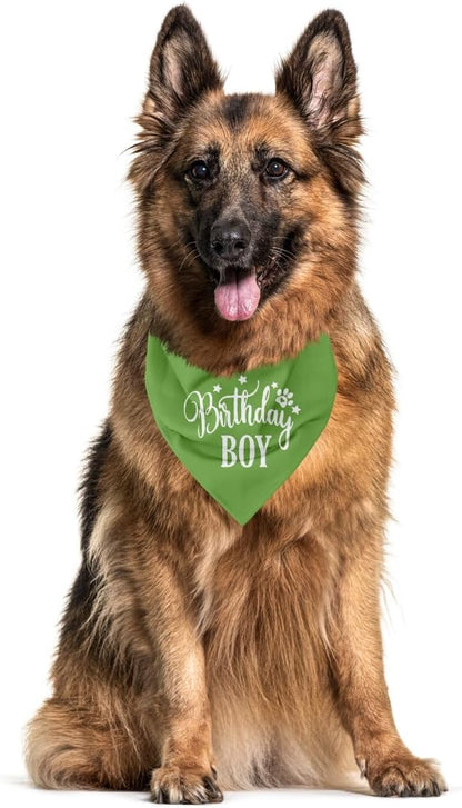 Birthday Dog Bandana 1st Birthday (A20)