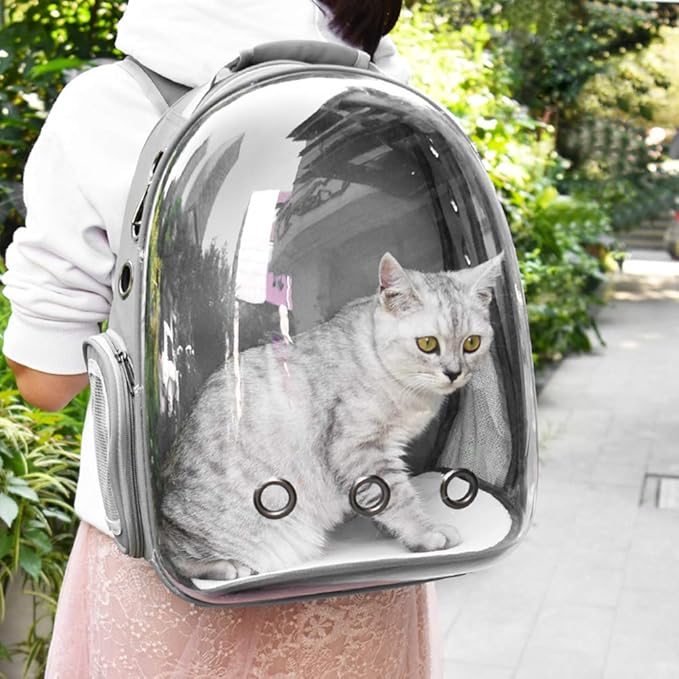 Cat Backpack, Bubble Pet Carrier Backpack Airline Approved, Cat Bookbag w/Cat Toy, Small Animal Travel Carrying Bag for Puppy Dog Kitten Bunny Bird Chicken Guinea Pig Hiking Walking Outdoor Use