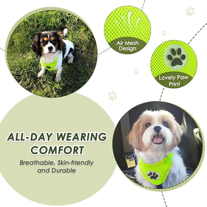 SlowTon Dog Seat Belt Harness for Car, Dog Car Harness Adjustable Mesh Breathable & Dog Seatbelt Safety Tether with Elastic Bungee for Small Medium Large Pets(Lime, Double Clip, S)