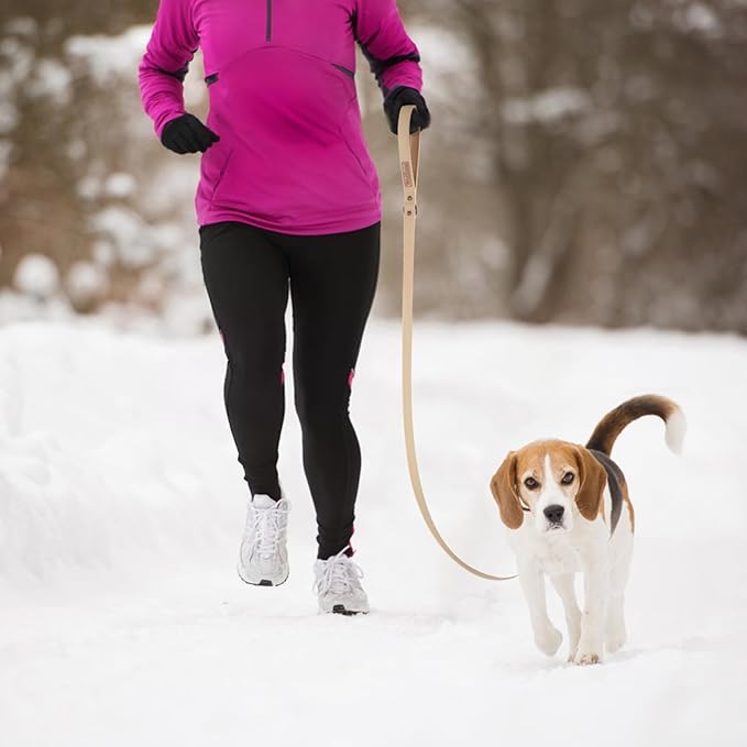 Waterproof Dog Leash Carabiner Leash for Dogs Soft 6ft*25mm*2.5mm Sand